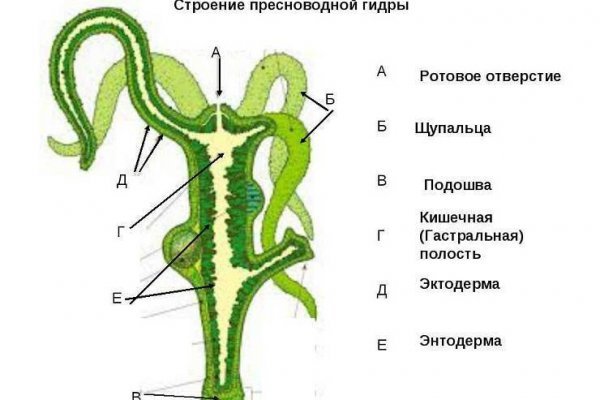 Кракен площадка вход