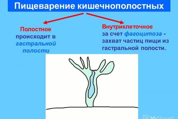 Kraken актуальный сайт