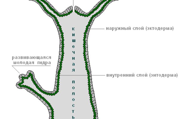 Кракен даркнет плейс