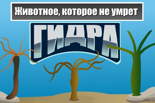 Кракен это известный маркетплейс